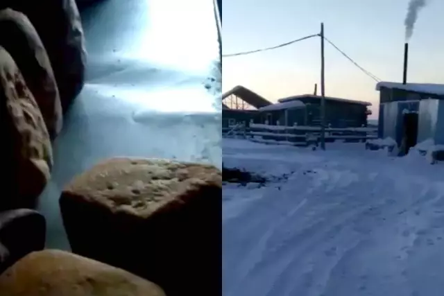 В Европе запрещена торговля собачьей шкурой