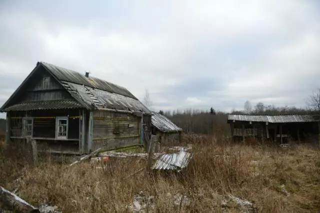 Разрешены лапшины
