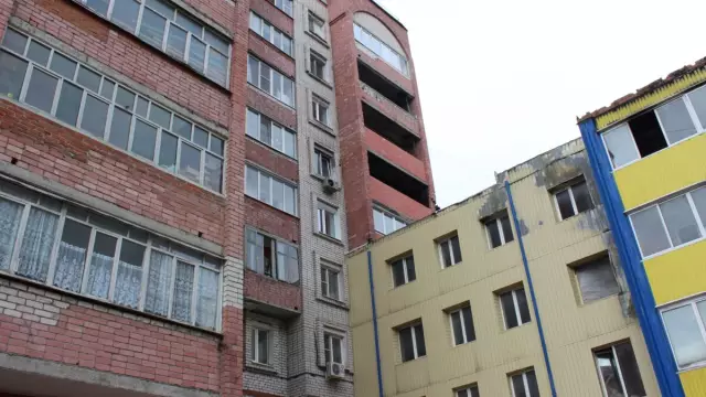 Женщина Тарпон Спрингс получит 60 собак Назад