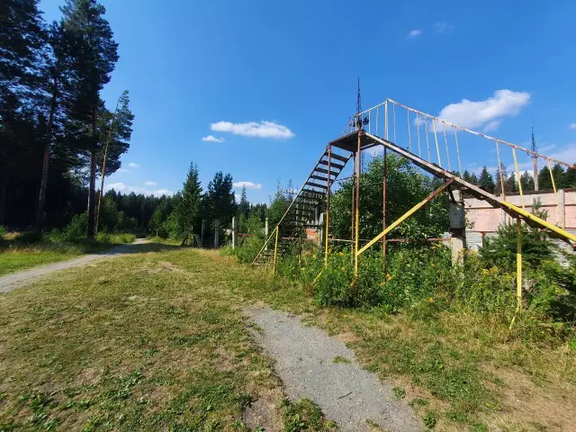 Предполагаемое кольцо для тренировки собак сломанное
