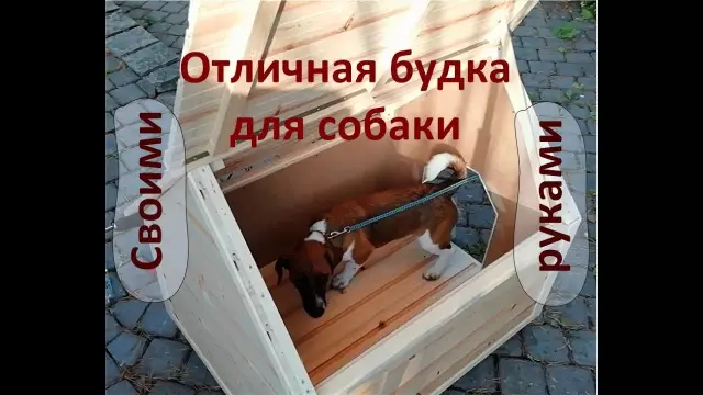Советы по доставке домашней собаки-укрытия