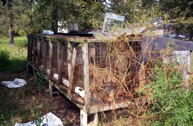 Pennsylvania P puppy Mill Bill: Принять меры