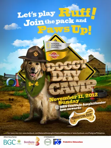 Doggy Day Camp: Тренд или здесь, чтобы остаться?