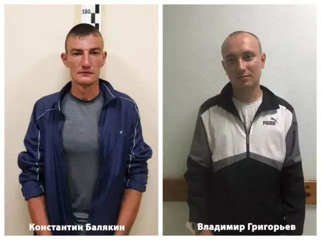 Судья Аризоны освобождает мужчин, подозреваемых в участии в бою, без залога