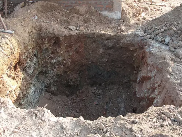 Pit Bull спасает мальчика от предполагаемого похищения
