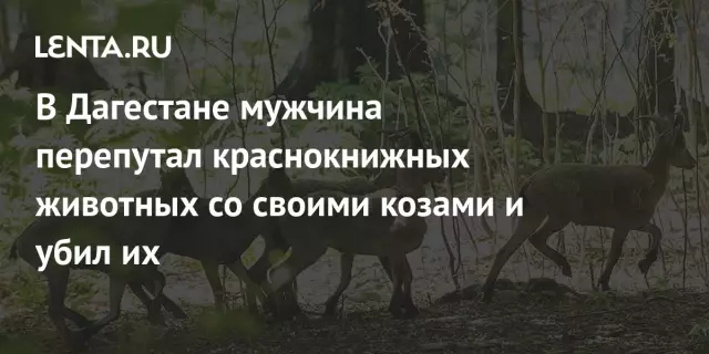 Флоридская пара утверждает, что ресторан убил их из-за их служебных собак