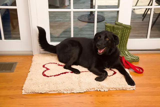 Победитель Soggy Doggy Doormat - и специальное предложение