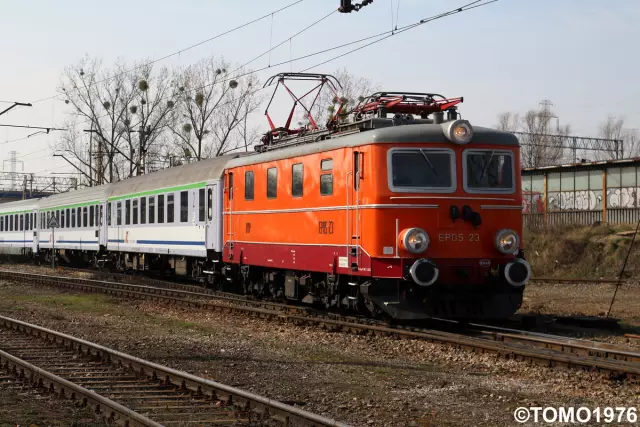 Ура! Кабанг, собака-герой без рыла, отправляется домой