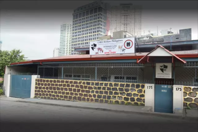 Extreme Mutt Makeover от CARA Welfare Philippines