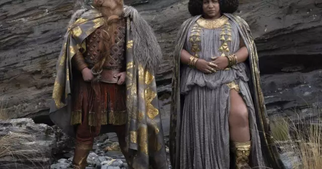 Бельгийцы ответят на террористическую угрозу силой кошек