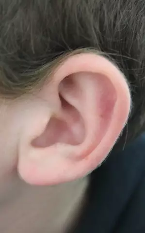 Органы власти, выполняющие Heinous Ear Cropper - Используемые ножницы и рыболовная линия