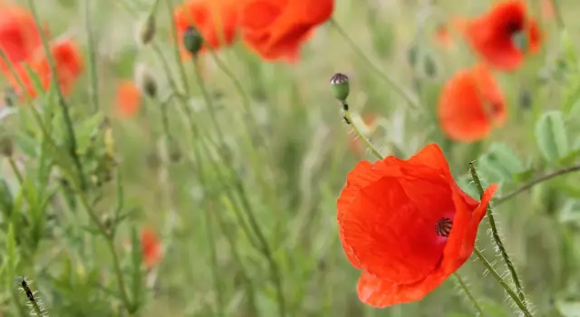 Победители SpotBot