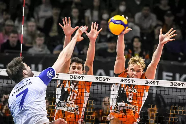 Выиграйте свой Pup Perfect Fit Hoodie от Joy Pet Products