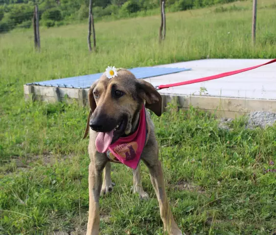 Наш герой: бродяга, который держал потерянную маленькую девочку, теплую на морозной ноче