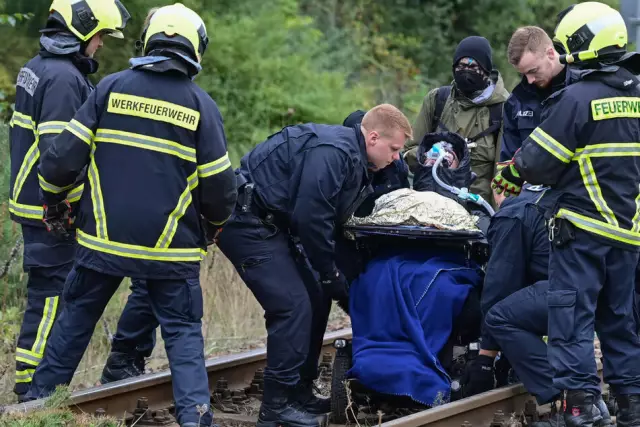 Девочка жила как бродячая на электростанции; Теперь у нее есть дом