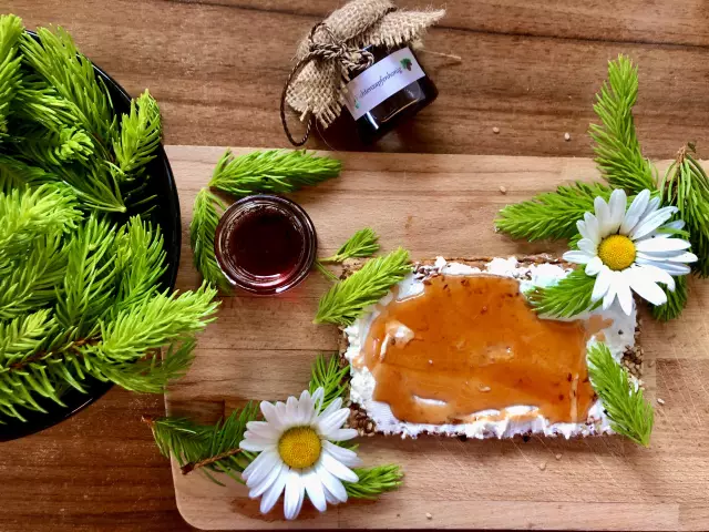 Спасенные лаборатории Beagles получают первый сладкий вкус свободы