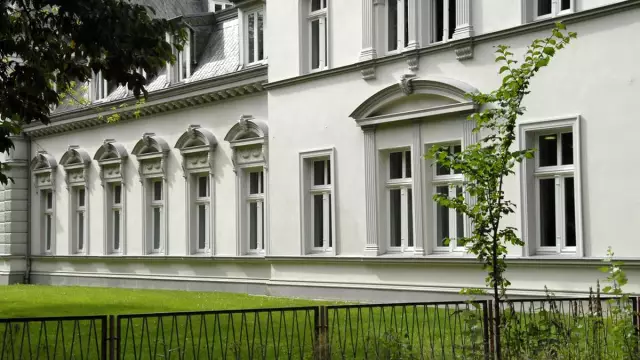 Плохие идеи: французский суд зовет собаку свидетеля в суд над убийством