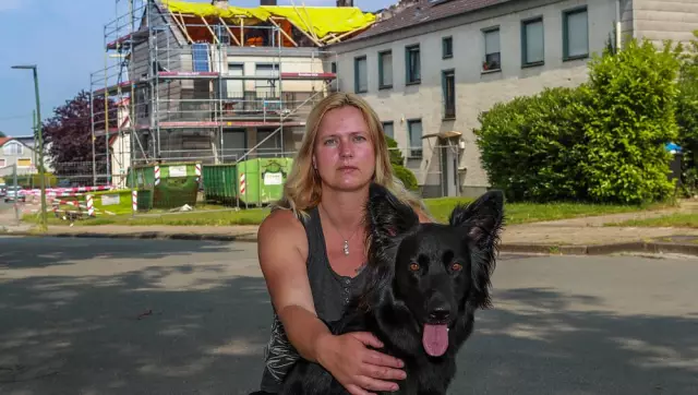 Собака Mauled By Lion получает помощь