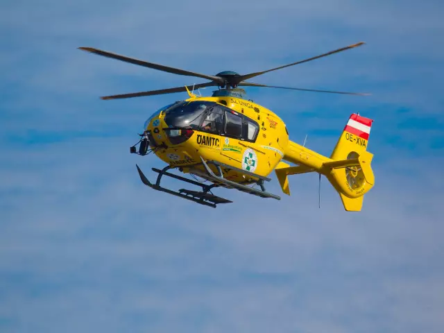 Летающий высоко. Собаки, вылетающие в безопасный укрытие