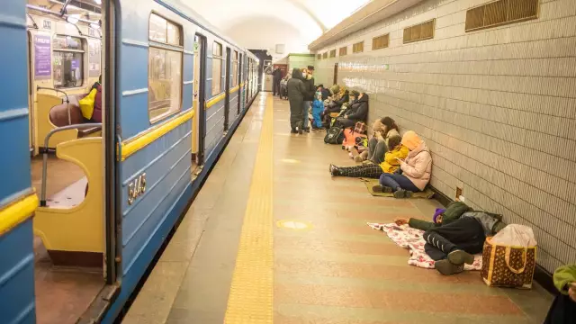 Киевская женщина живет в заброшенном доме, чтобы помочь более 70 собак, которых она спасла от улиц