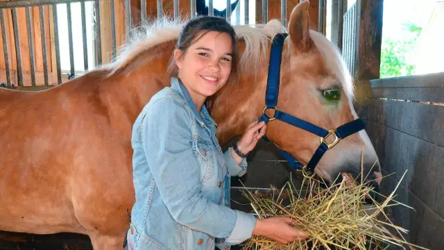 Нет лапы, оставленных позади: выкупа не означает улицу для домашних животных