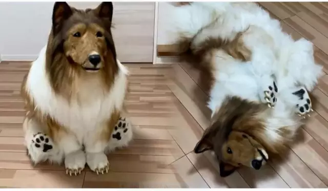 Смотри! Высоко в небе! Это собака - и палка?