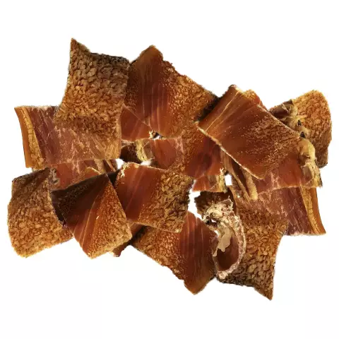 65 000 собак, имплантированных чипами в Шанхае