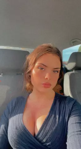 Как около 500 твитов получили потерянную собаку