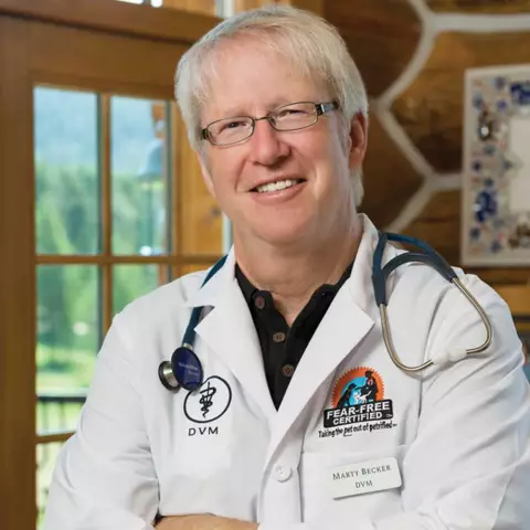 Д-р Марти Беккер рассказывает о секретах резки пролить 90%