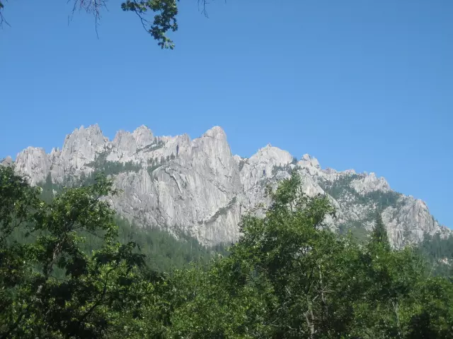 Получите 15% скидку на вход BarkWorld и посмотрите на Ted Rheingold