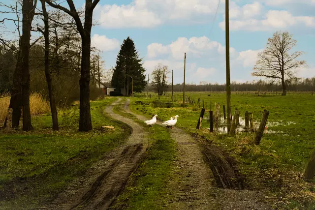 Не забирай улицу