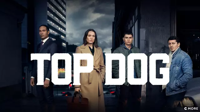 Интервью с ведущей собакой сегодня