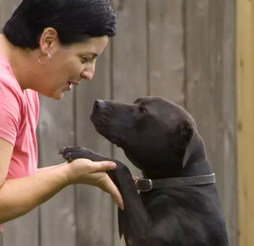 Жизнь после битвы: Пик Топы Вика Rehabbed