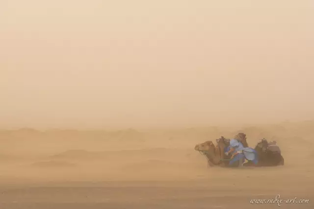 Укрытие от бури