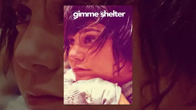 Перемещенные домашние животные в наводнениях Айовы Найти убежище