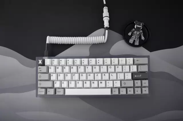 Британская собака Декстер выживает 115 футов погружения с утеса, плавает спасателям