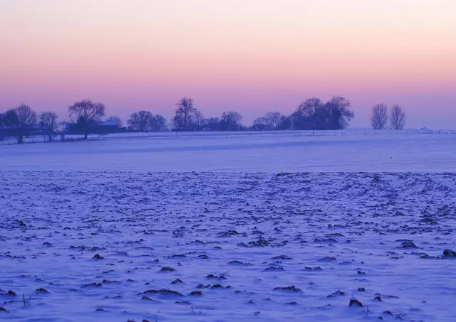 Новое предупреждение о клеи от ASPCA