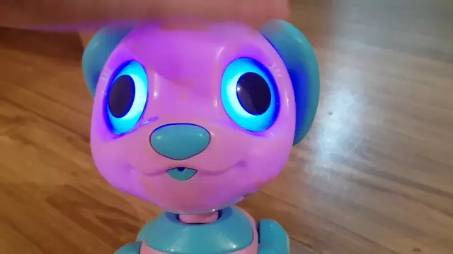 Нью-Йоркская собака получает защищенную судом защиту