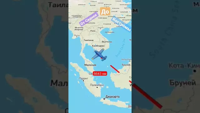 Хвост преданности для Сиднея