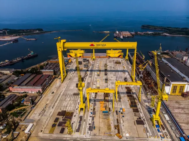 Мыльная оперная звезда ищет потерянную собаку