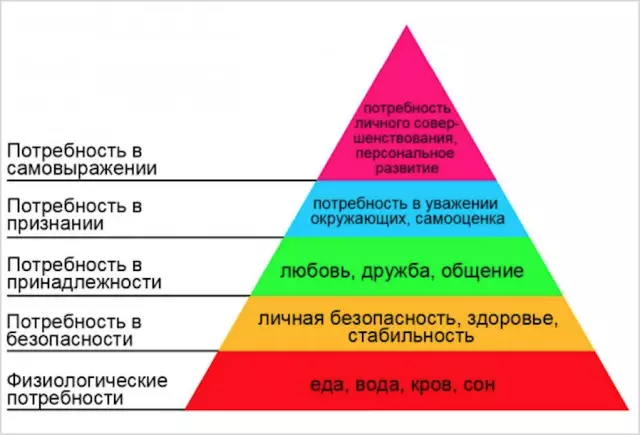Румынская детская группа и потребности в публикации помогают помочь бездомным домашним животным