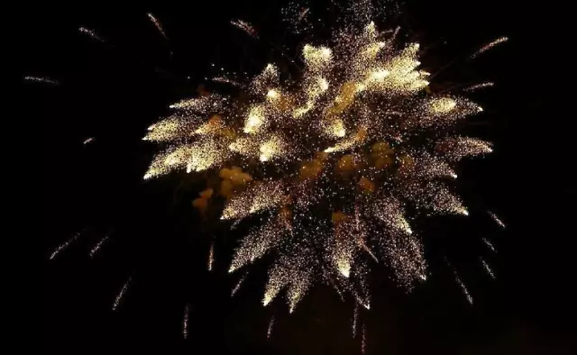 Премия Bonehead отправляется в Камарилло, официальные лица CA - фейерверки рядом с приютом для животных