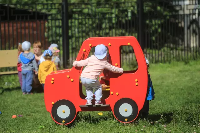 В разделе «Экспертиза»: использование средств собак в Риджентс-Джорджии в его стоматологической помощи