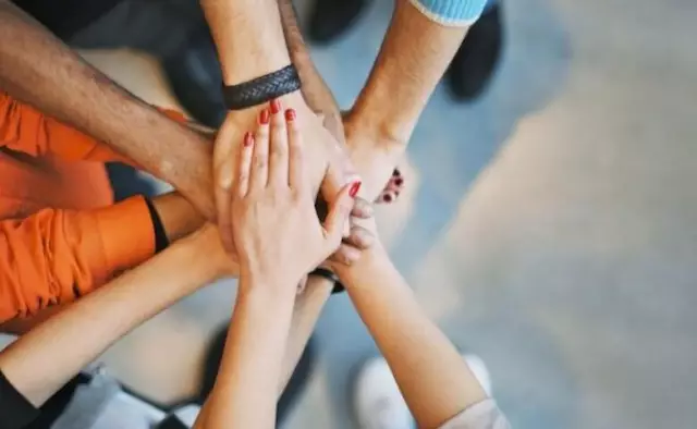 День ответственности Собственника Собака Собака в сентябре