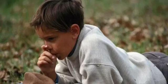 Pup Sucked From Home by Mass. Торнадо, спасенный от щебня