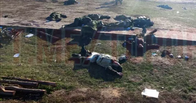 Собаки-приюты, выстреленные к смерти на полигоне в Южной Каролине