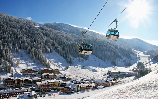 Только в Лос-Анджелесе: Ледяной крем для гурманов и трактор для собак