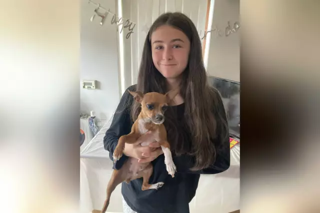 Украденная собака вернулась к 80-летней женщине