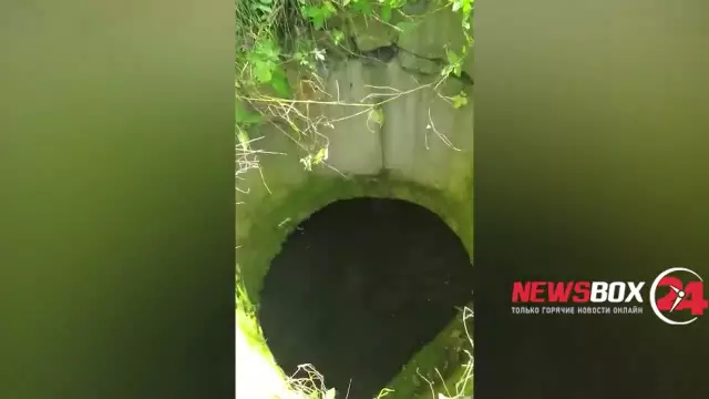 Белый игрок Sox выбивает, чтобы спасти собаку выстрел со стрелкой