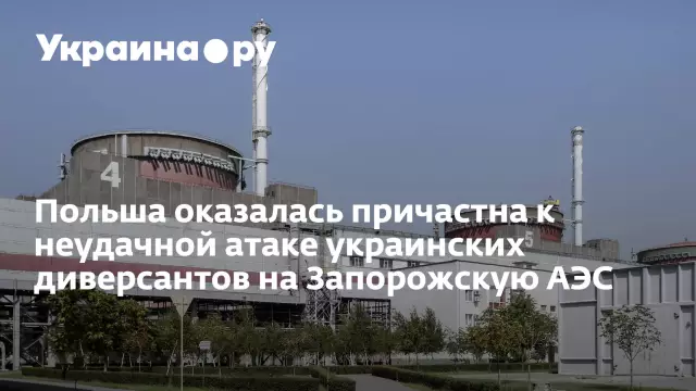 Аль-Каида сшитые бомбы внутри собак в неудачной атаке